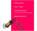 Portabottiglie Classico Vintage a Forma di Bicicletta, Porta Bottiglie Singolo da Appoggio, Organizer per Vino a Forma di Bicicletta per Top Cucina e Tavolo