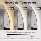 Specchio Infinito 3 Colori 63x24, Specchio LED da Bagno per Bagno, Ingresso Camera da Letto, Soggiorno/Camerino