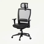 FLEXISPOT C4 Standard Ergonomic Office Chair, Foam Seat Cushion, Black