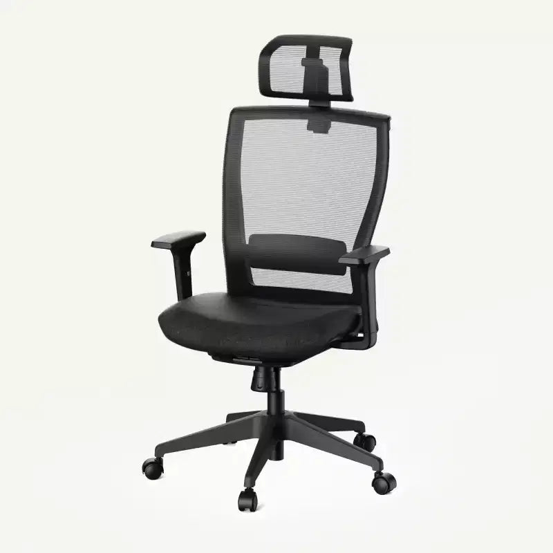 FLEXISPOT C4 Standard Ergonomic Office Chair, Foam Seat Cushion, Black