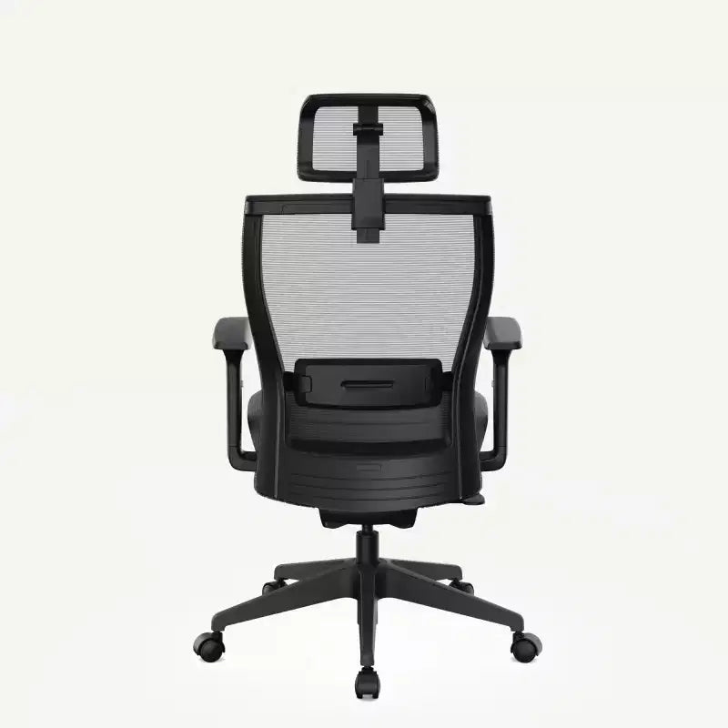 FLEXISPOT C4 Sedia da Ufficio Ergonomica Standard, Cuscino in Schiuma, Nera