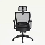 FLEXISPOT C4 Sedia da Ufficio Ergonomica Standard, Cuscino in Schiuma, Nera