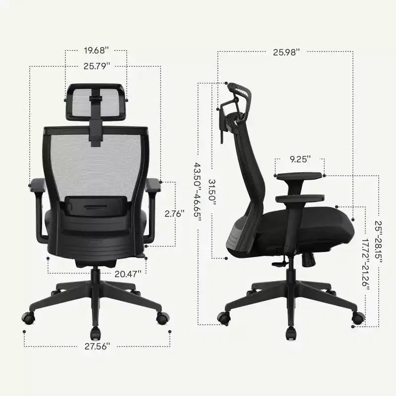 FLEXISPOT C4 Sedia da Ufficio Ergonomica Standard, Cuscino in Schiuma, Nera