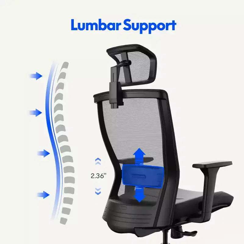 FLEXISPOT C4 Chaise de bureau ergonomique standard, coussin d'assise en mousse, noir