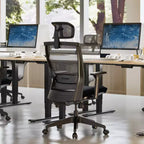 FLEXISPOT C4 Sedia da Ufficio Ergonomica Standard, Cuscino in Schiuma, Nera