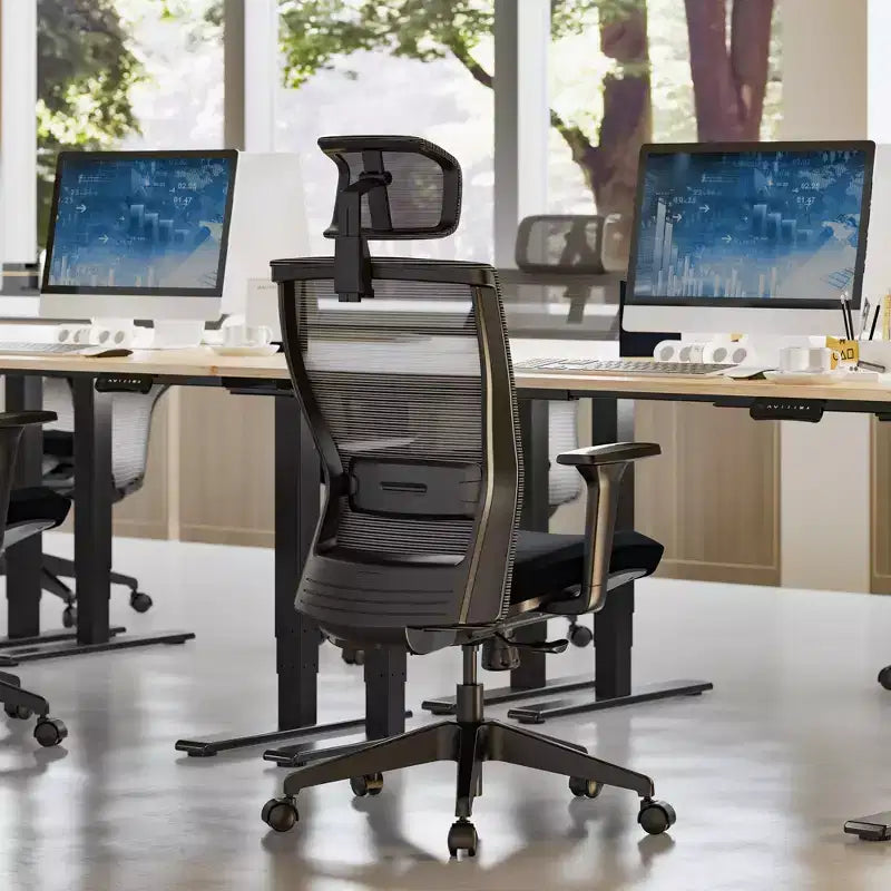 FLEXISPOT C4 Sedia da Ufficio Ergonomica Standard, Cuscino in Schiuma, Nera