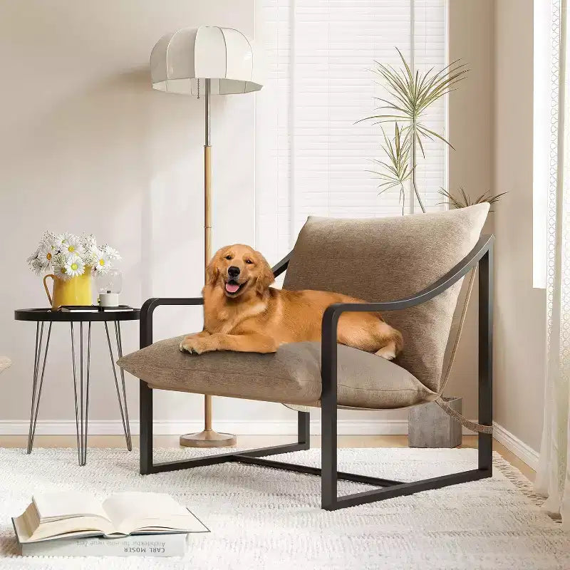 COZONY Poltrona Moderna con Struttura in Metallo, Poltrona Lounge Imbottita con Cuscino in Schiuma per Soggiorno, Camera da Letto