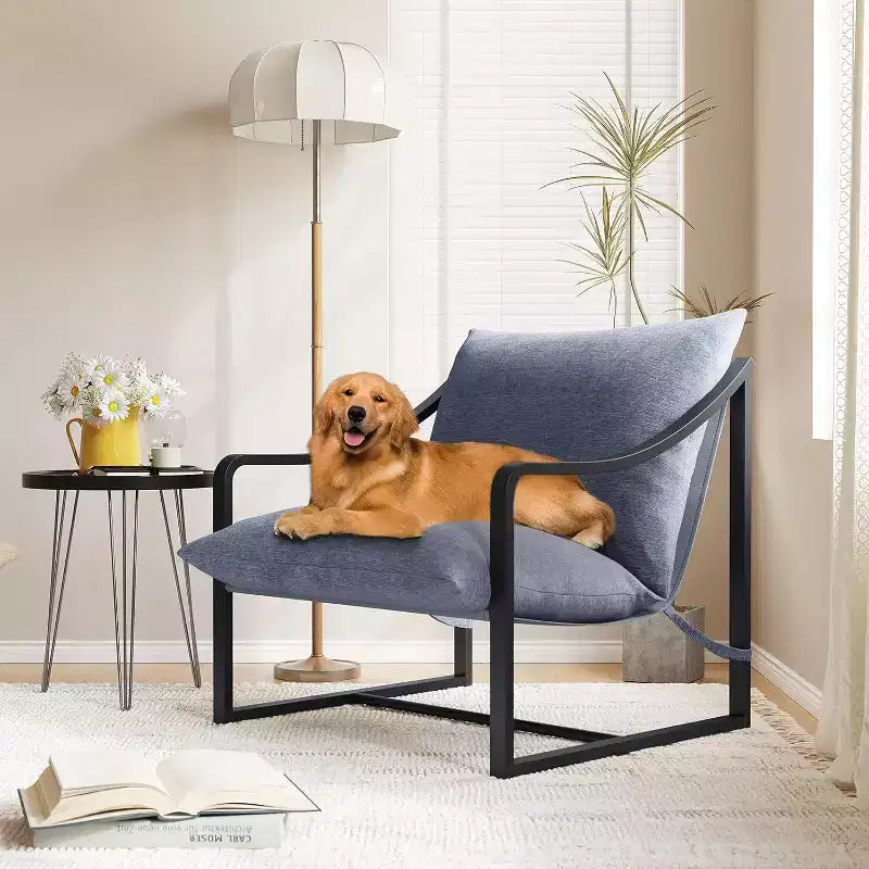 COZONY Poltrona Moderna con Struttura in Metallo, Poltrona Lounge Imbottita con Cuscino in Schiuma per Soggiorno, Camera da Letto