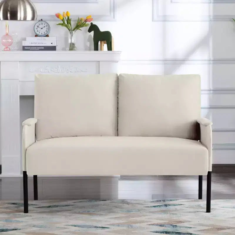 MAYEERTY 46 Inch Modern Loveseat Powder-Coated Metal Frame, Detachable Cushions, Anti-Scratch Legs