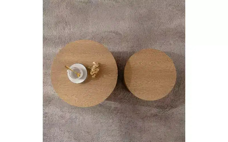 Set di 2 tavolini da caffè rotondi impilabili TUYOHW, tavolino centrale in MDF ecologico per soggiorno, tavolino moderno circolare in legno, tavolino d'appoggio