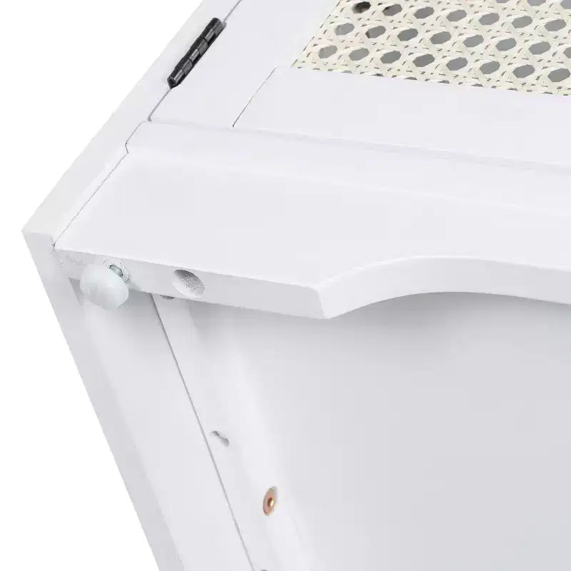 Panca da ingresso rustica in rattan da 47 pollici con contenitore, panca porta scarpe da ingresso con cuscino rimovibile per corridoio o soggiorno-Panipeachy